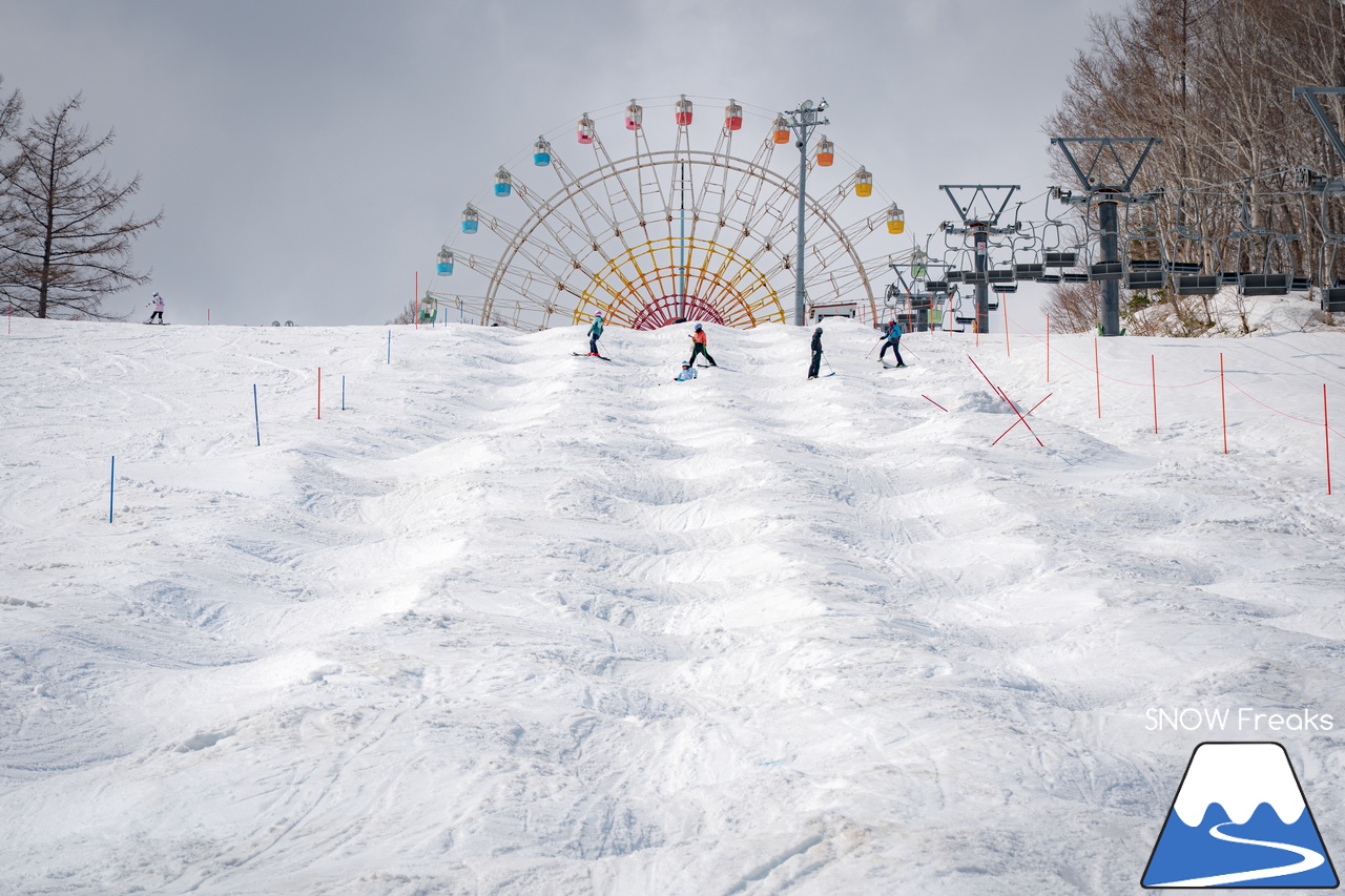 サッポロテイネ｜山頂積雪 285cm！絶好の春コンディションのゲレンデは、『アルペンスキー大会』『モーグル大会』『テイネ雪山祭り』『北海道米そり選手権2026』で大盛り上がり～(^^)v